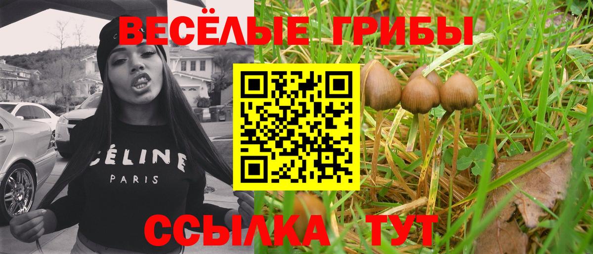 Ханты-Мансийск  Псилоцибиновые грибы ЛСД  Вход с VPN  Галлюциногенные грибы Magic Shrooms 