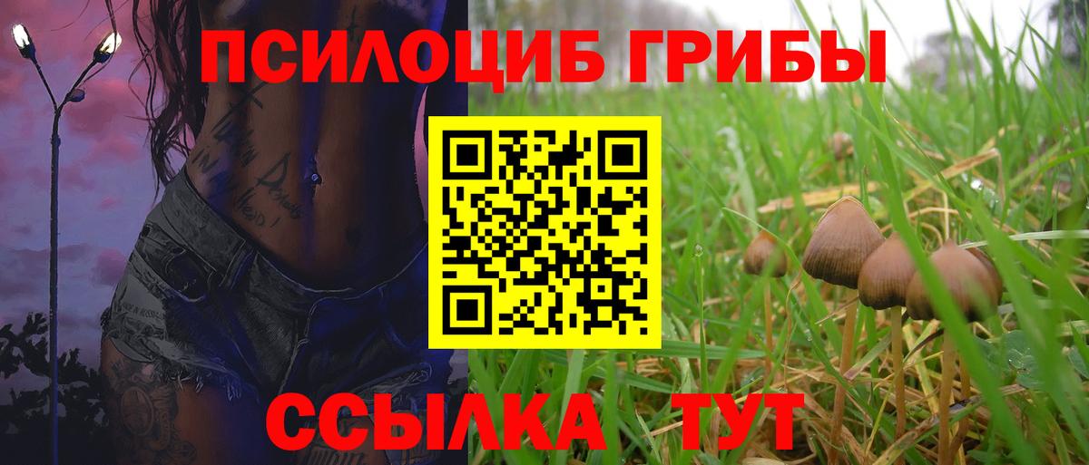 Псилоцибиновые грибы GOLDEN TEACHER Ханты-Мансийск